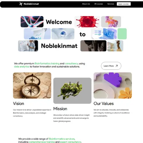 business website, Tech website